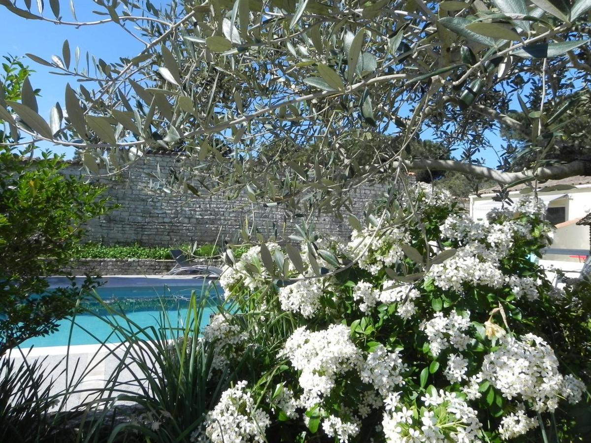 Villa Del Re 3 Face A La Piscine La Flotte Exteriér fotografie